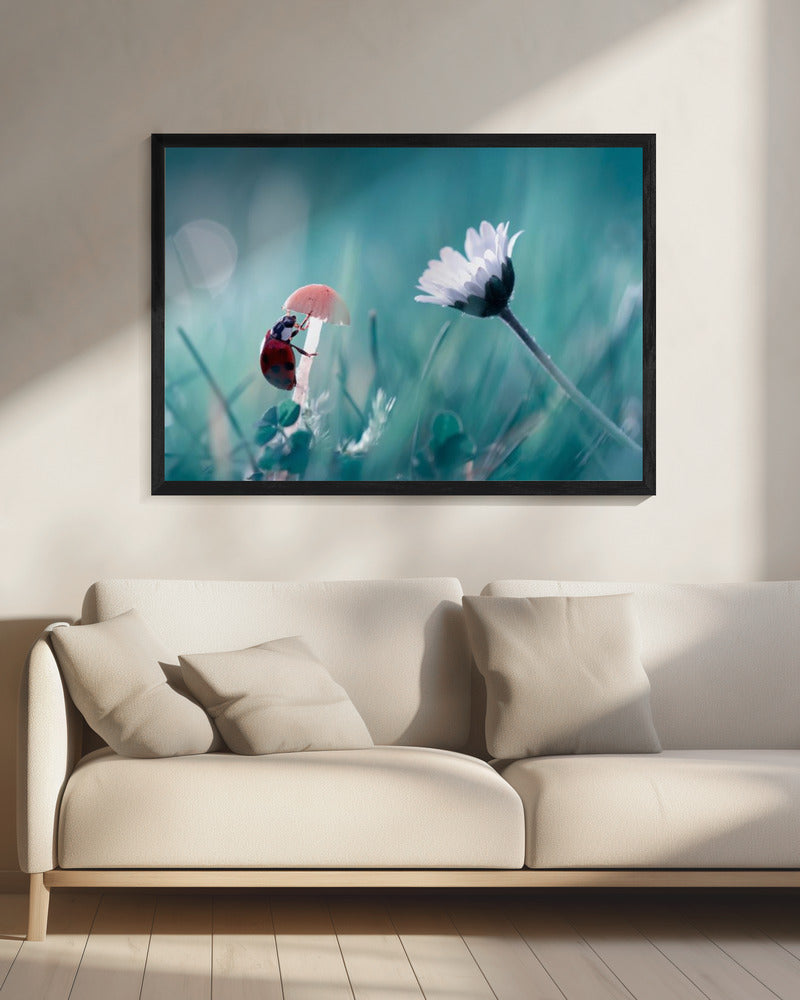 Speeddaten | Canvas