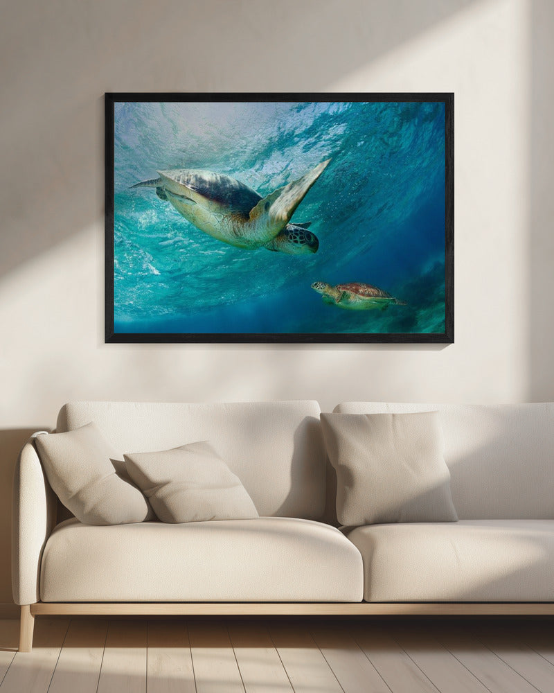 Contact | Canvas
