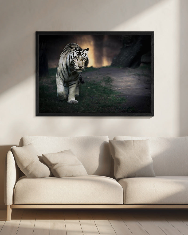 Witte wandelaar | Canvas