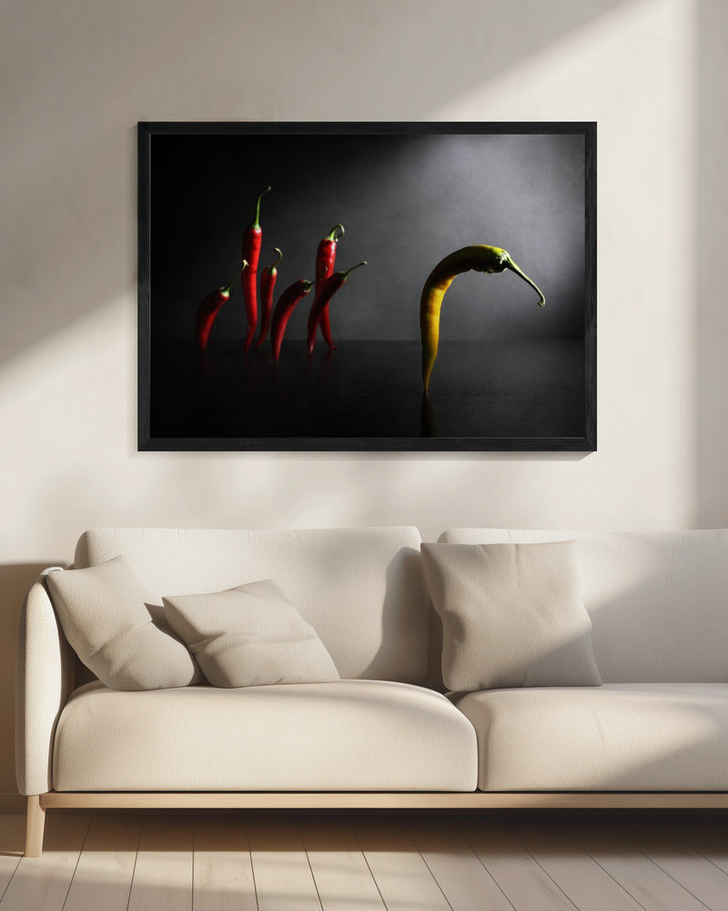 Ga op pad, Jack! | Canvas