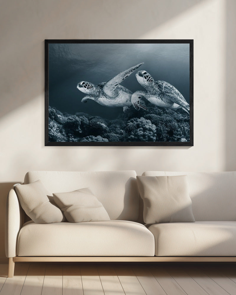 Tweelingdans | Canvas