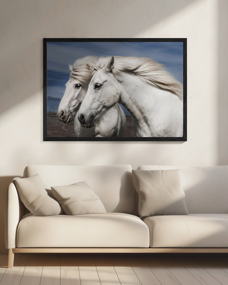 Blazen | Canvas