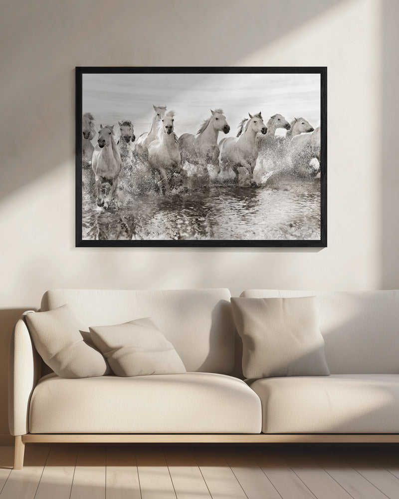 Illusie van kracht (al is het maar 13 pk) | Canvas