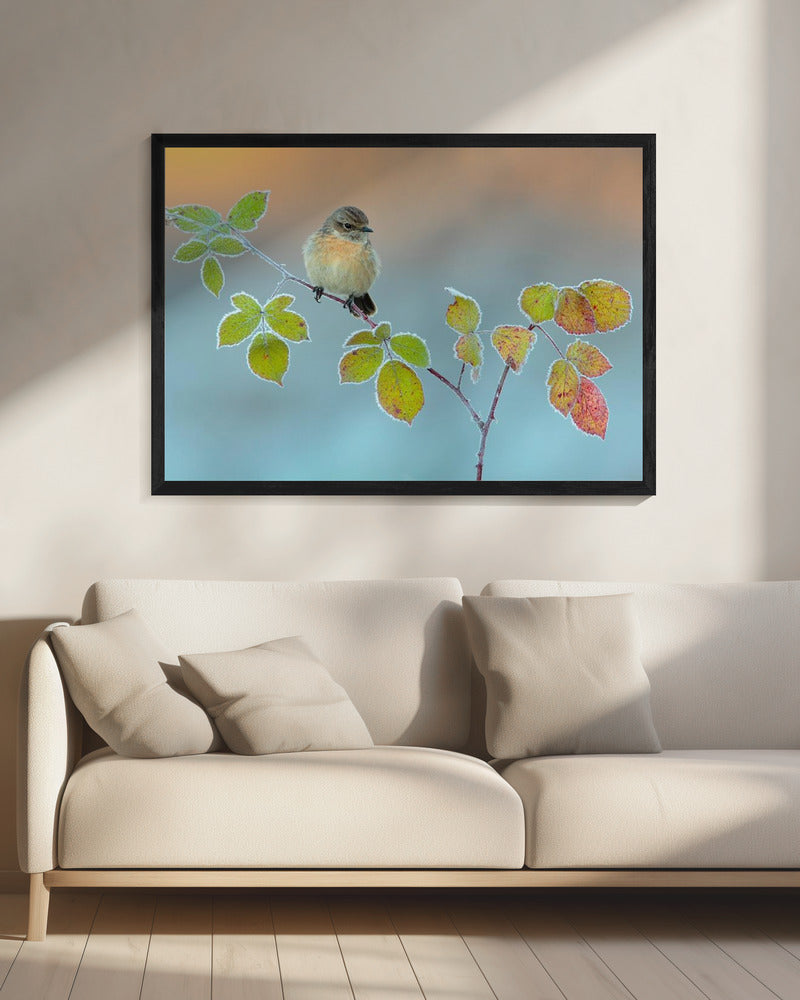 Winterkleuren | Canvas