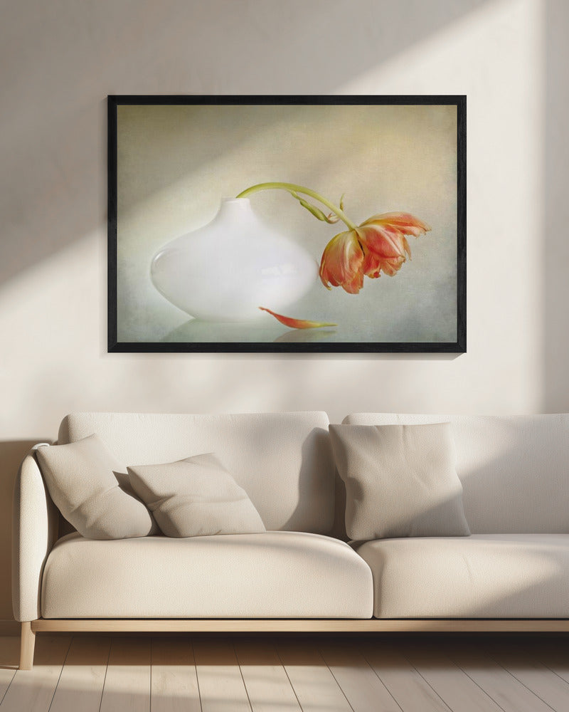 2lip | Canvas