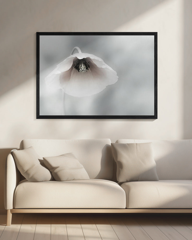 Vergankelijke schoonheid | Canvas