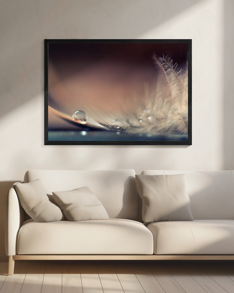 Verhalen over druppels | Canvas