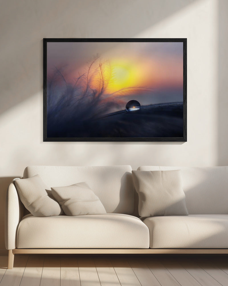 Morning | Canvas