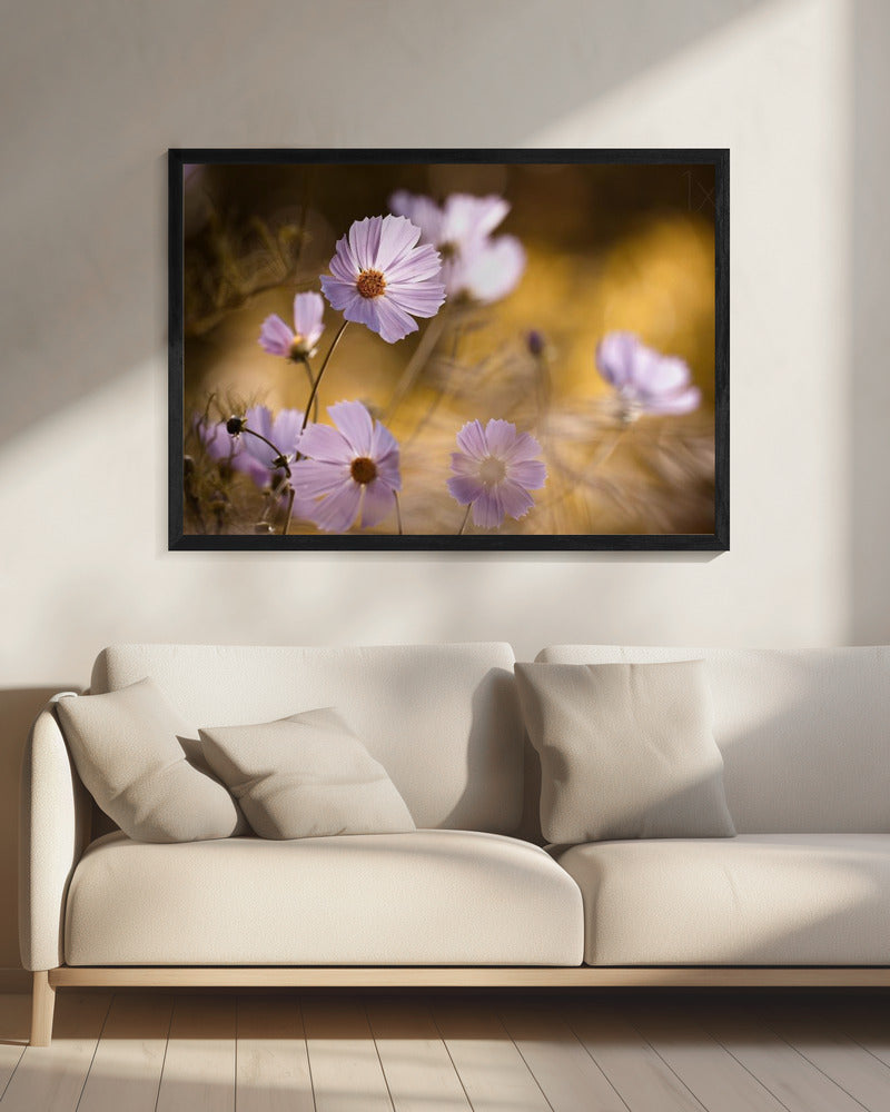 De Leeuwenkoning | Canvas