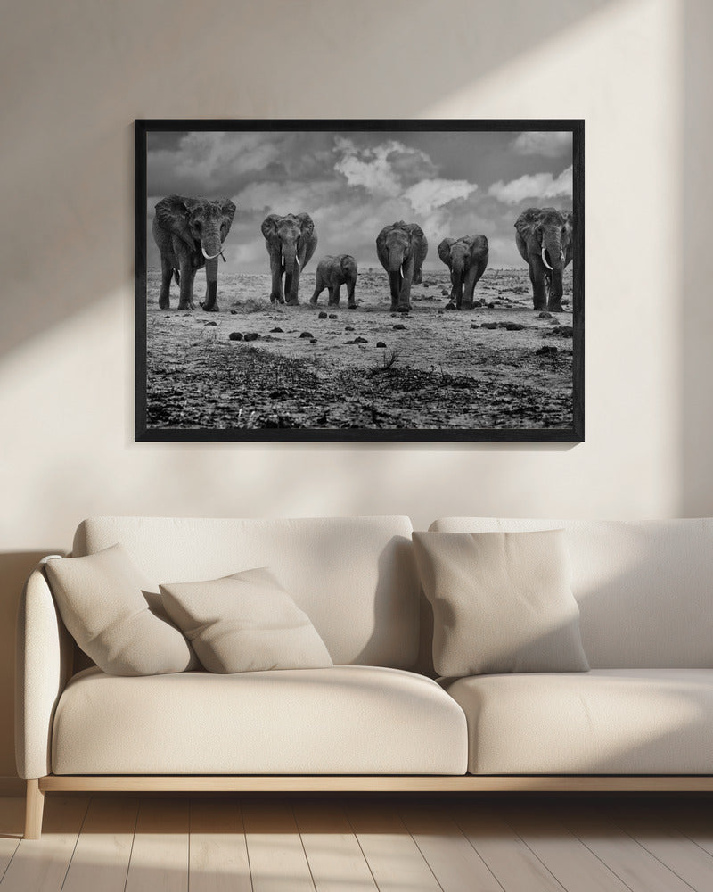 Groot gezin | Canvas