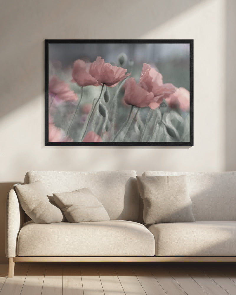 Zachtjes | Canvas