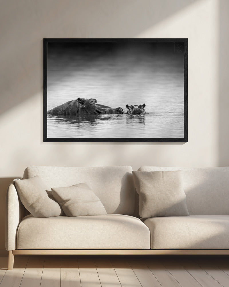 Ooghoogte | Canvas