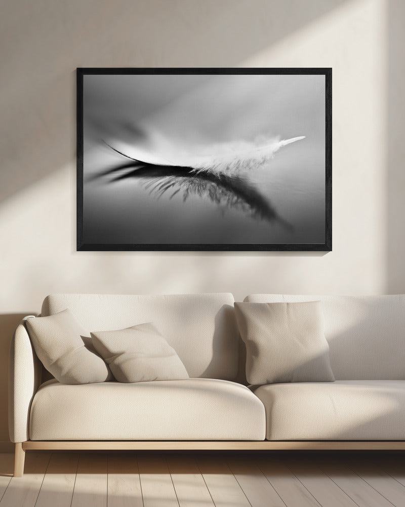 White | Canvas