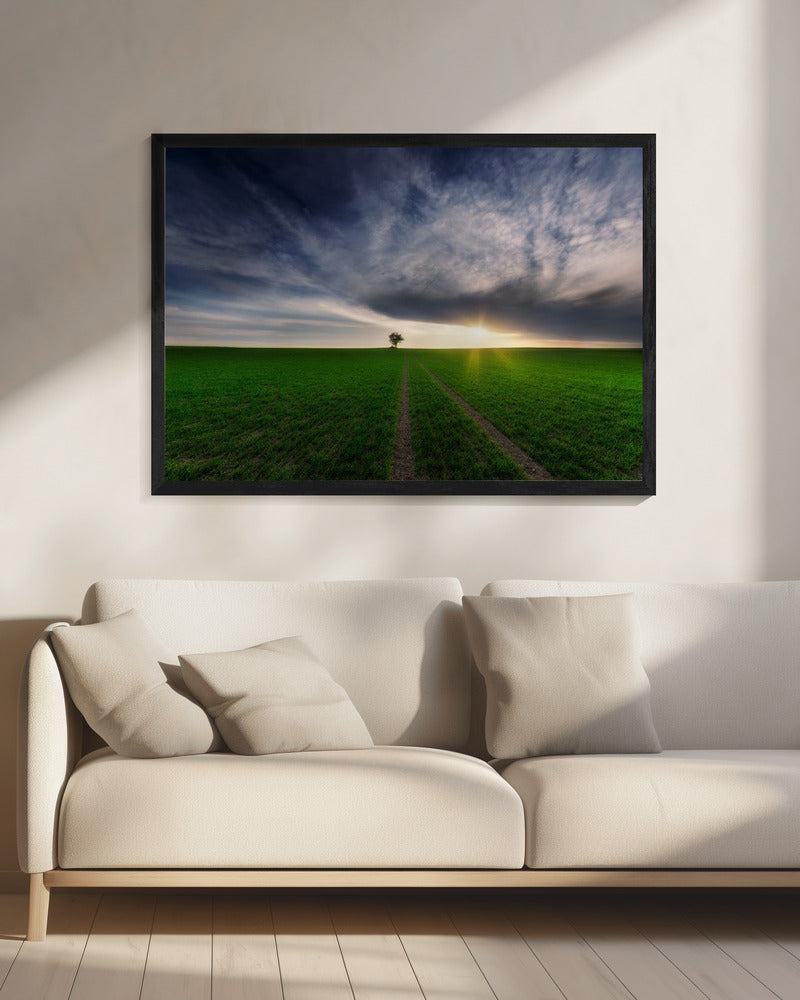 eenling in de zon | Canvas
