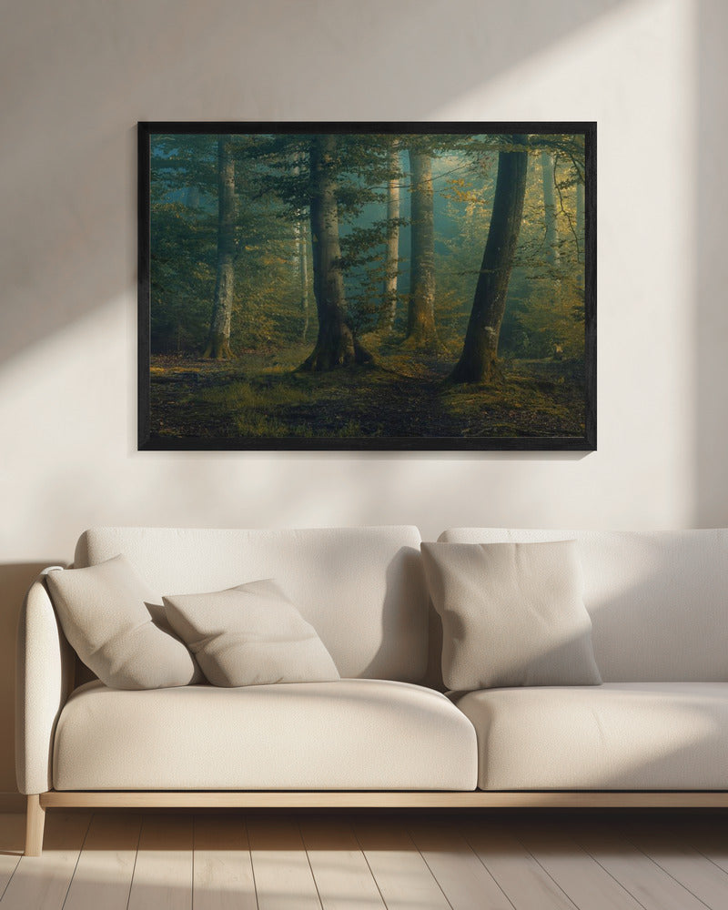 oktoberkleuren | Canvas