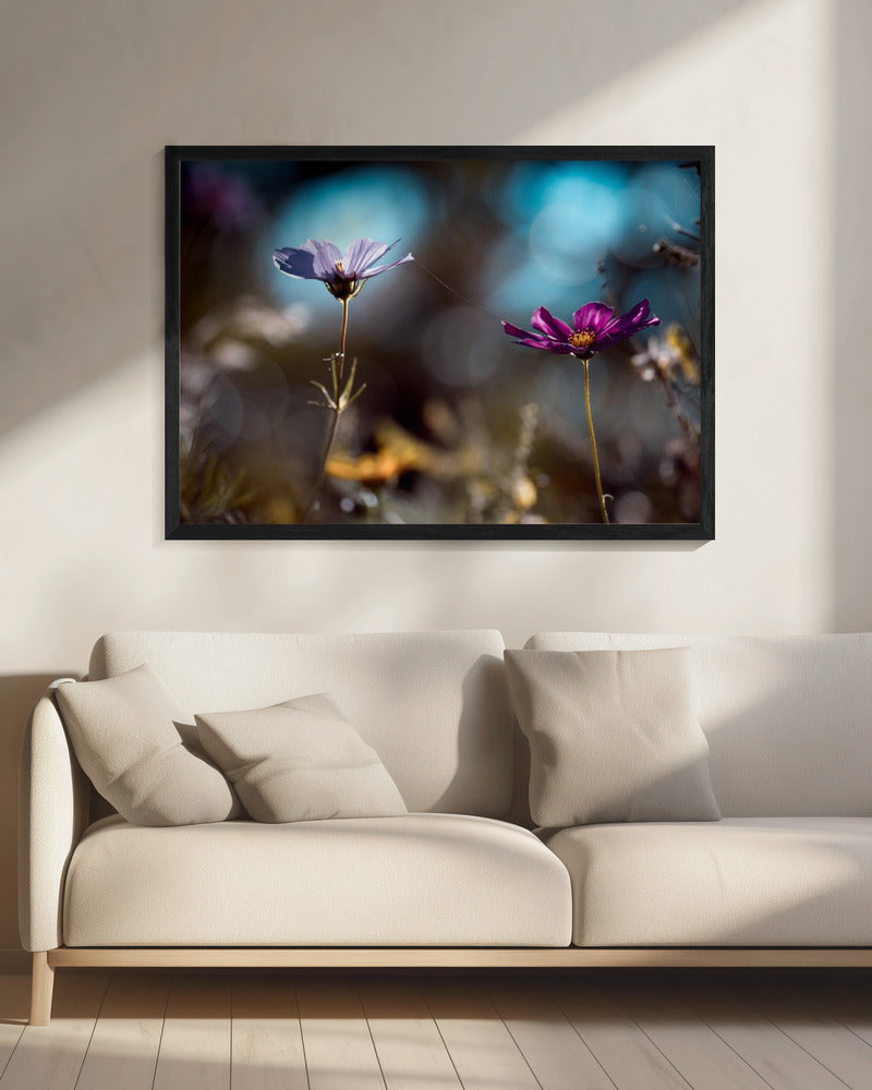 De link | Canvas