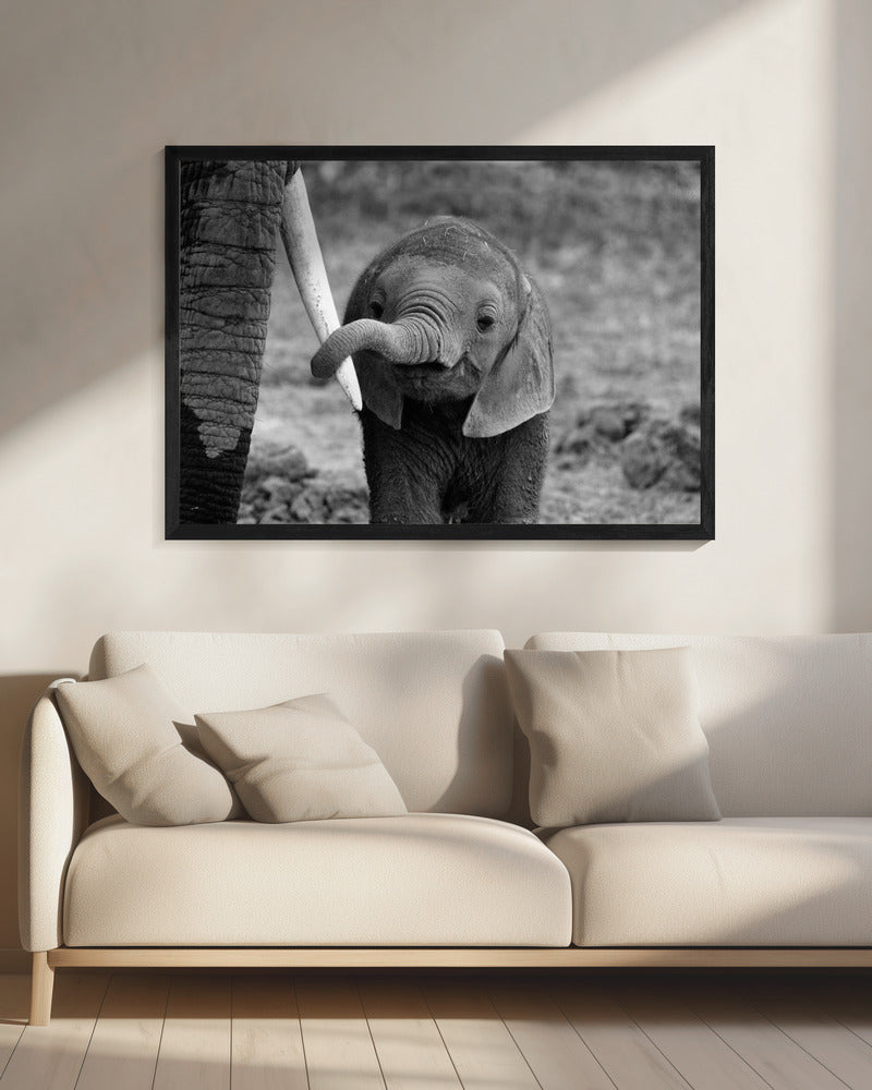 Sluiten | Canvas