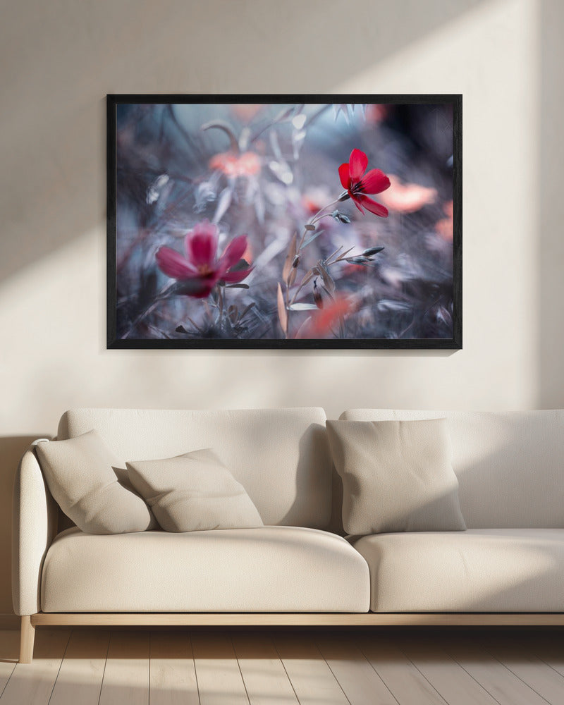 Een Fleur, een geschiedenis | Canvas