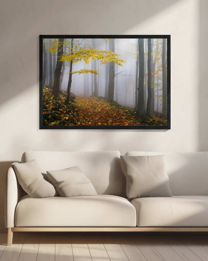 Zonder titel | Canvas