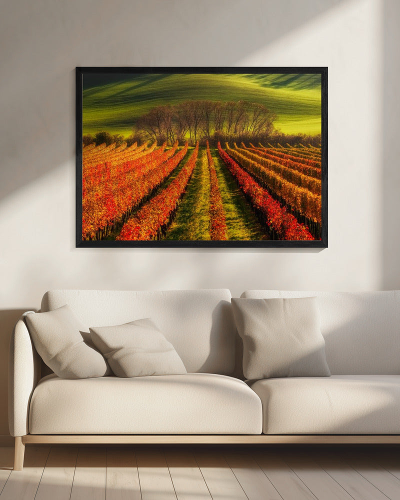 wijnbouw | Canvas