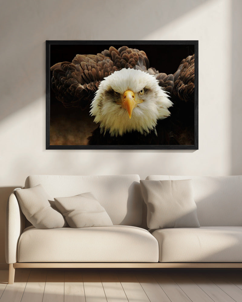 De Rechter | Canvas