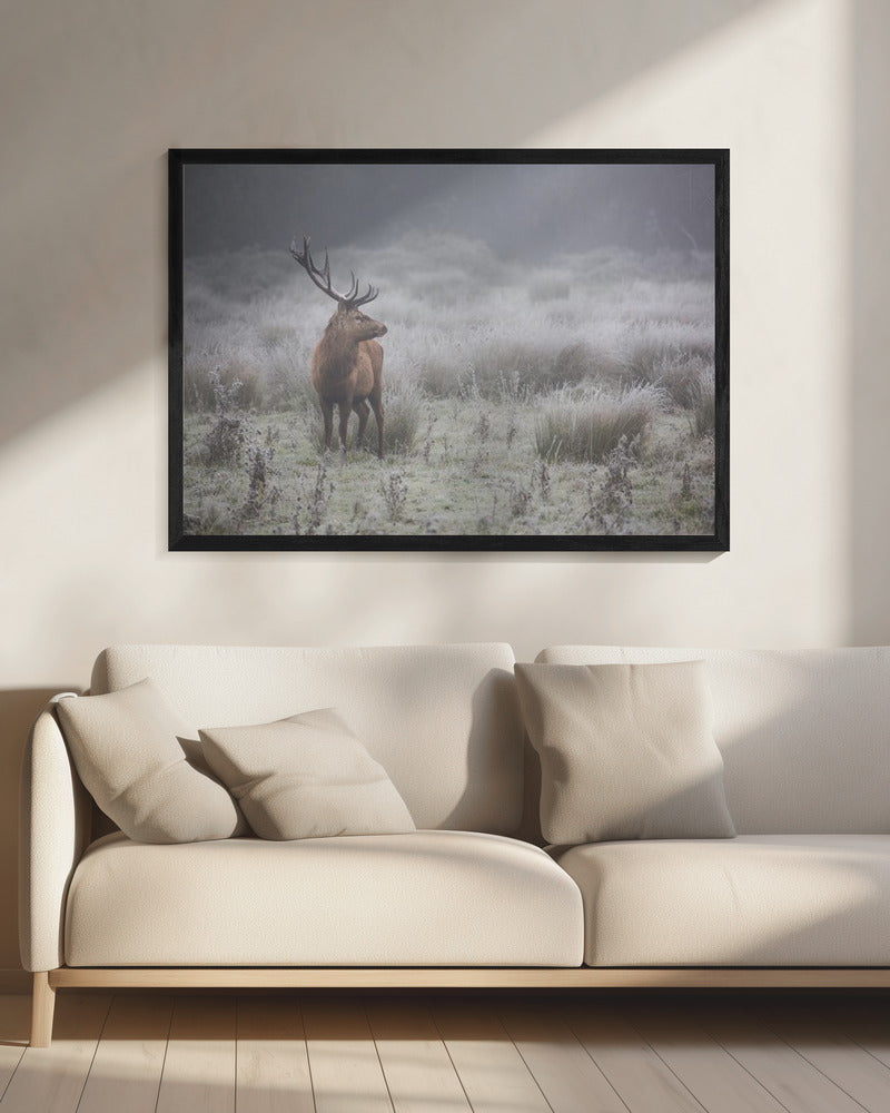 Trots. Hert. | Canvas