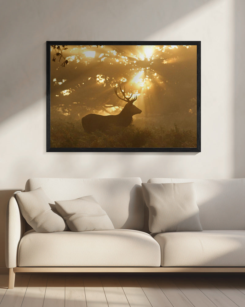 Spook van het bos | Canvas