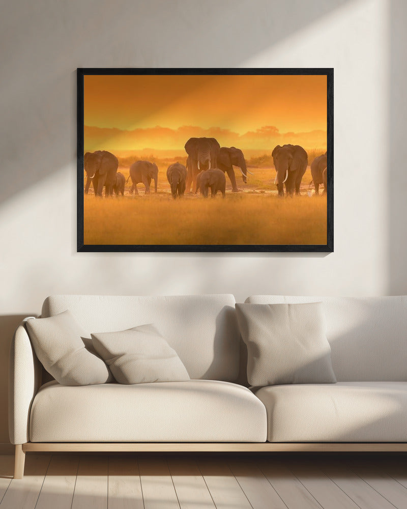 Gouden Licht | Canvas
