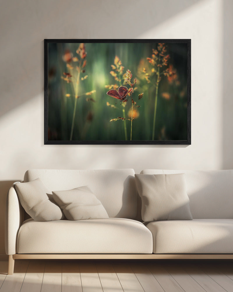 Last Light | Canvas