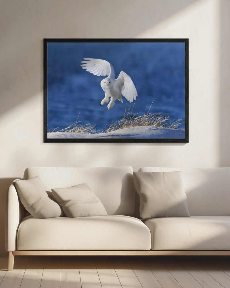Witte geest demon | Canvas