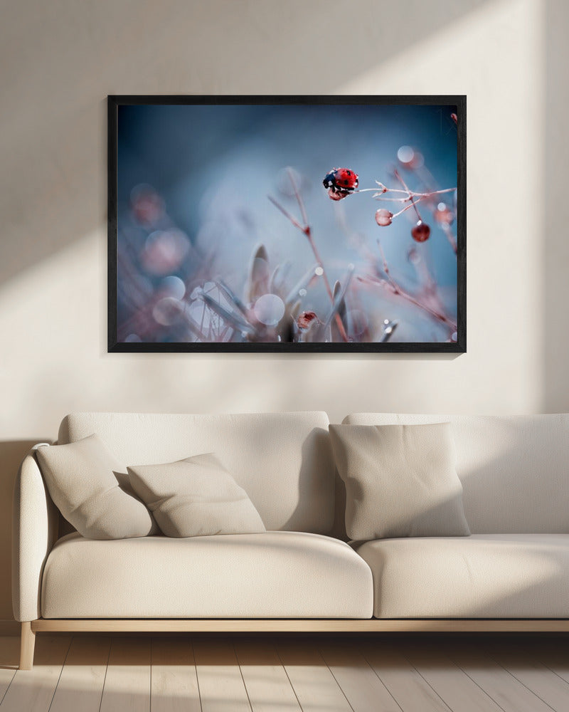 Hoogduiken | Canvas