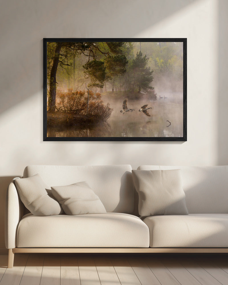 Ganzengevecht | Canvas