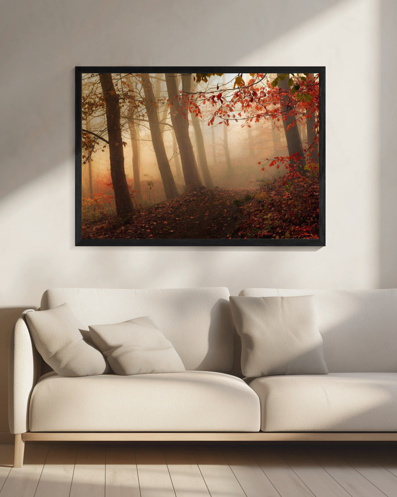 Op weg naar het licht. | Canvas