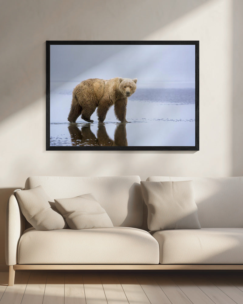 De Berenwandeling | Canvas