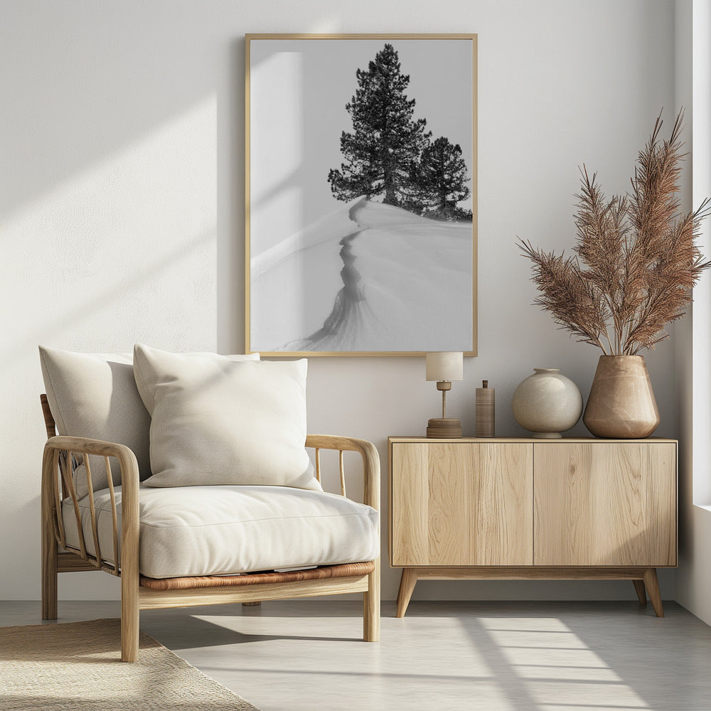 Over sneeuw en vormen | Poster