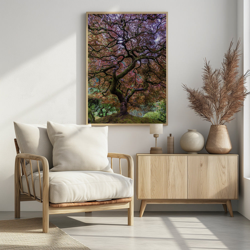 Japanse esdoorn | Poster