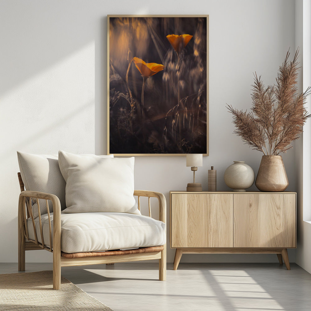 Uit De Betoverde Geheime Tuin | Poster