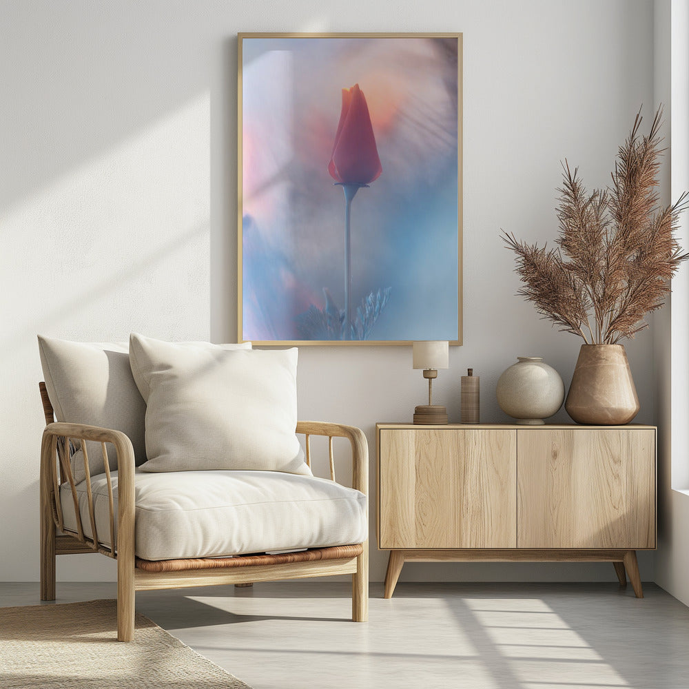 Douceur & Volupté | Poster