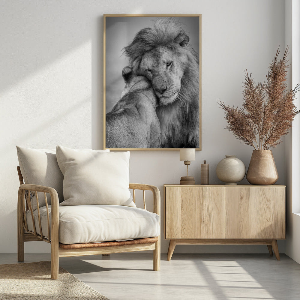 Afrikaanse liefde! | Poster