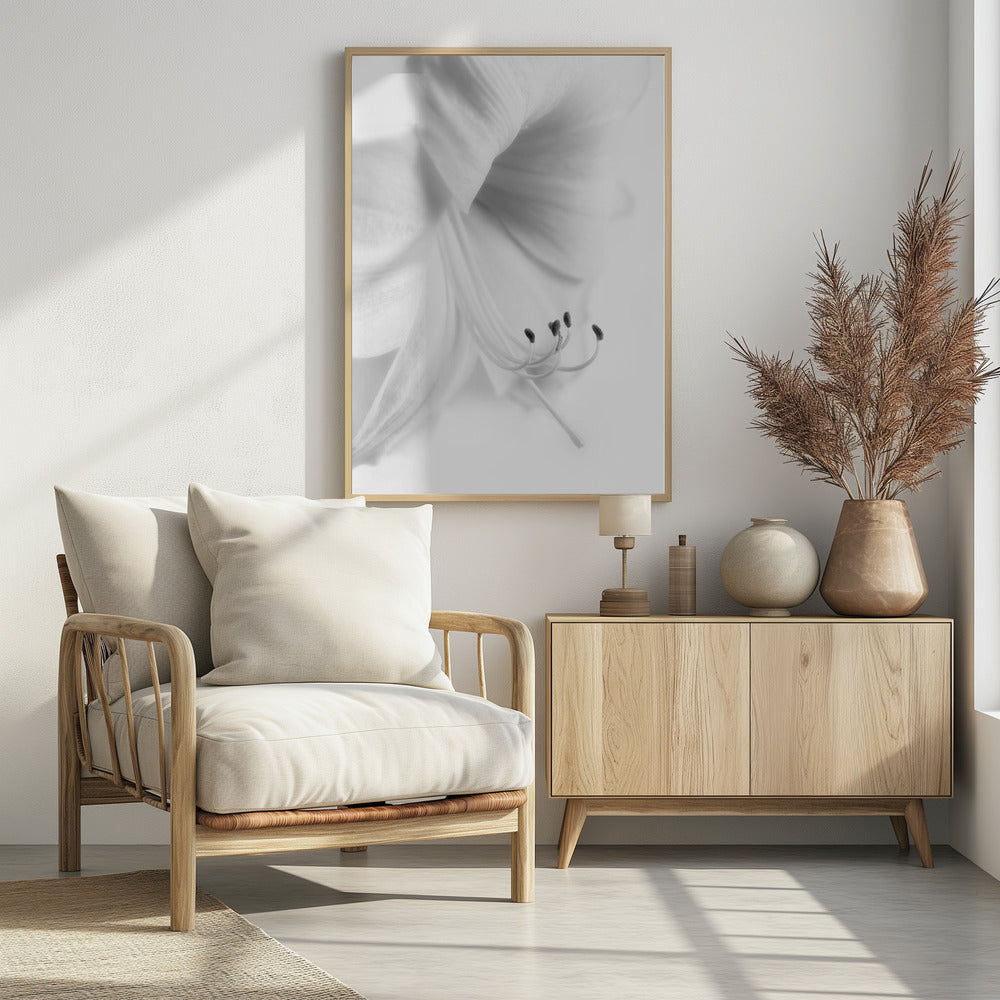White on White | Poster