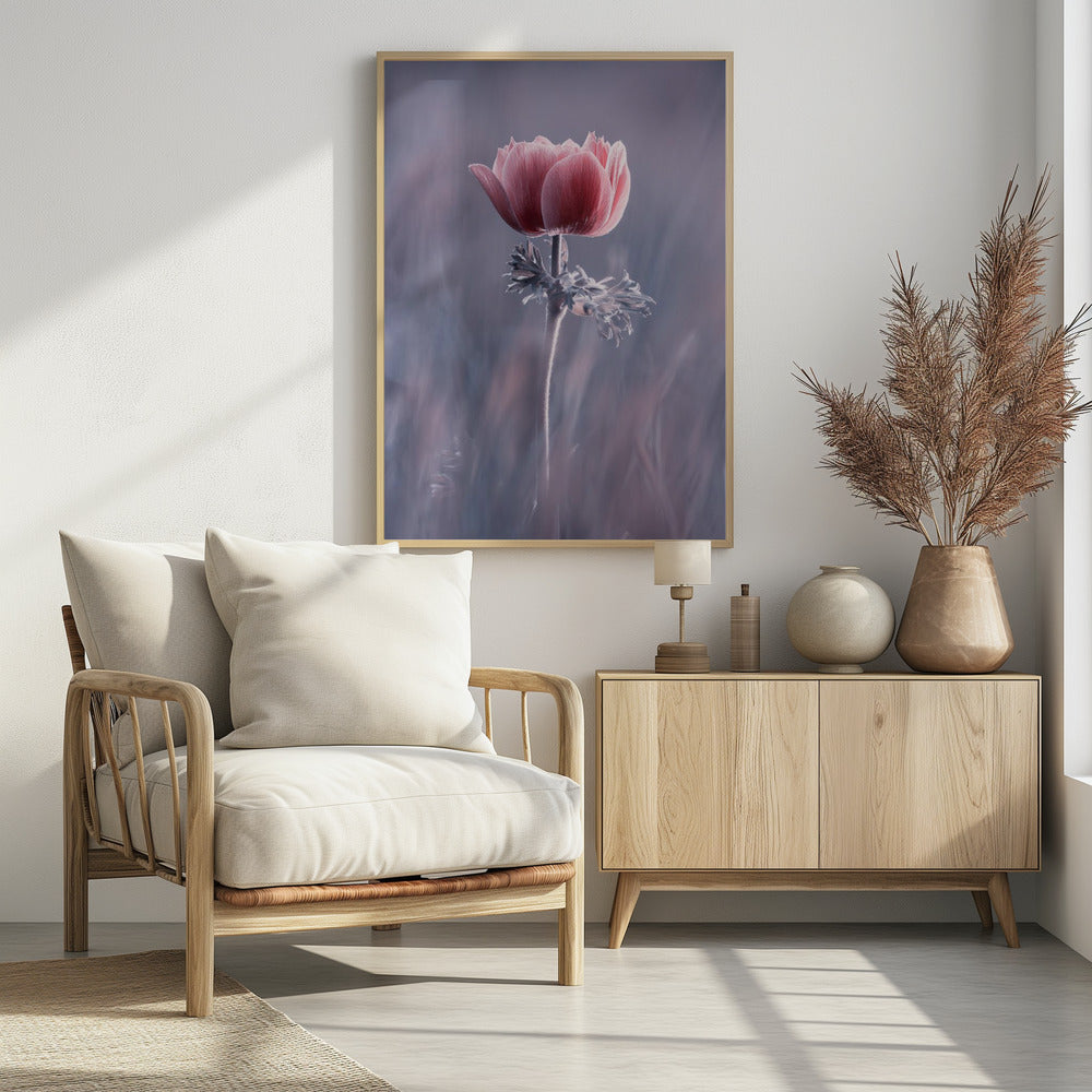 Roze! En dan? | Poster