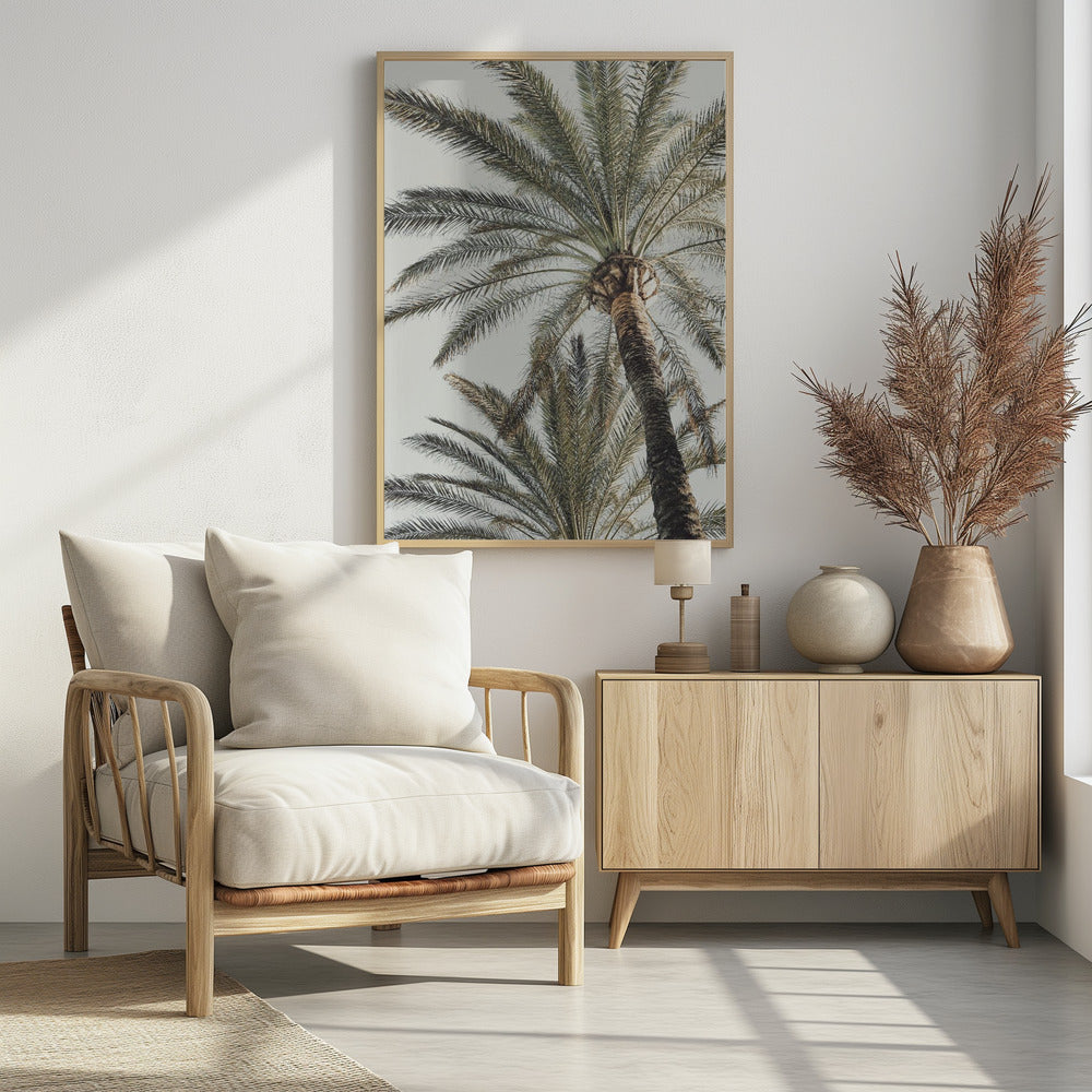 Palm_005 | Poster