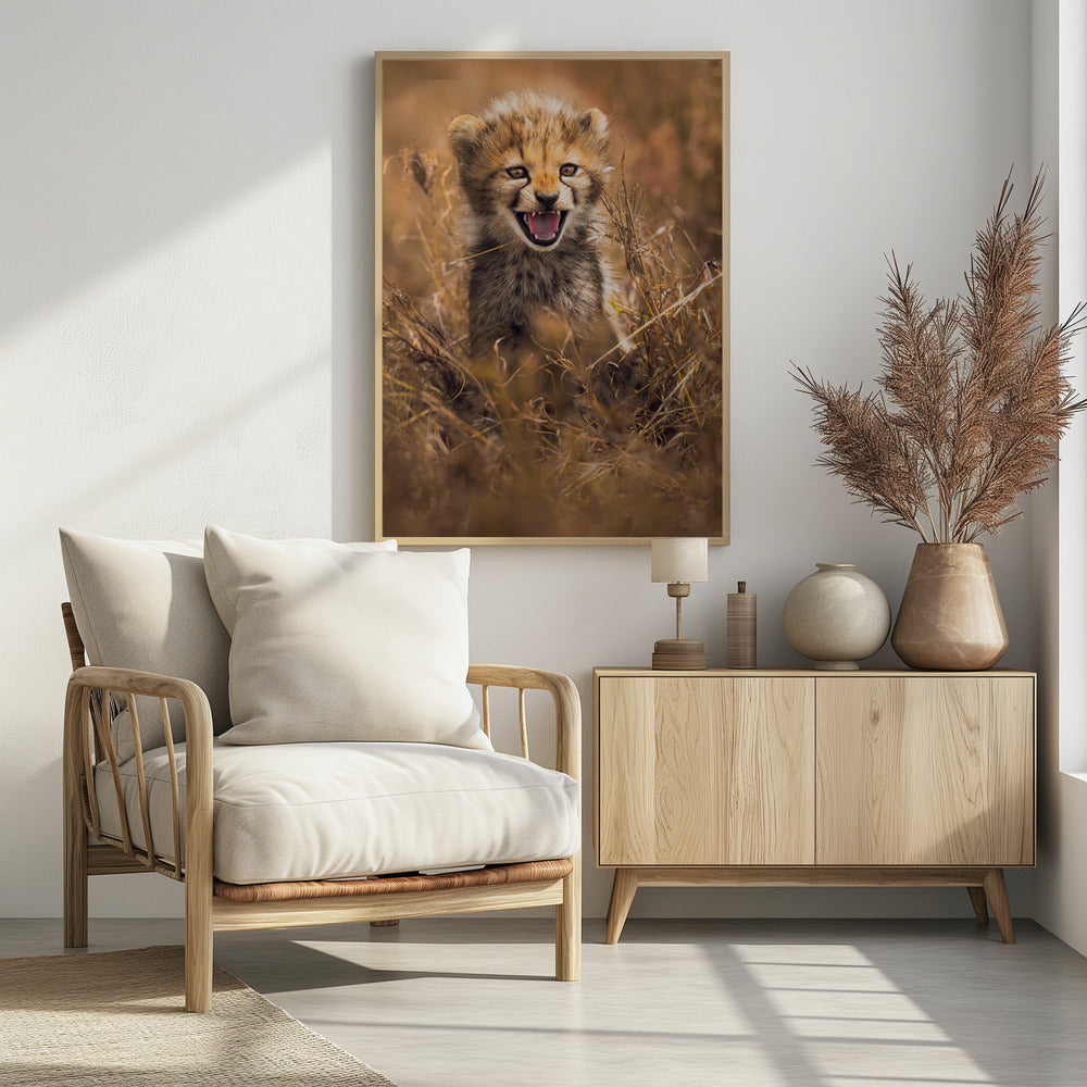 Grote glimlach | Poster