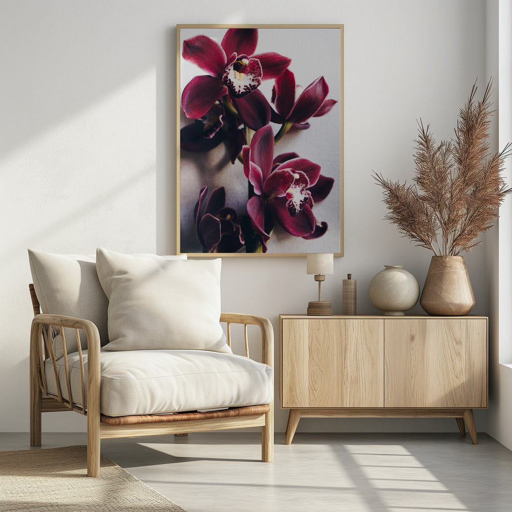 Orchideeën Elegantie | Poster