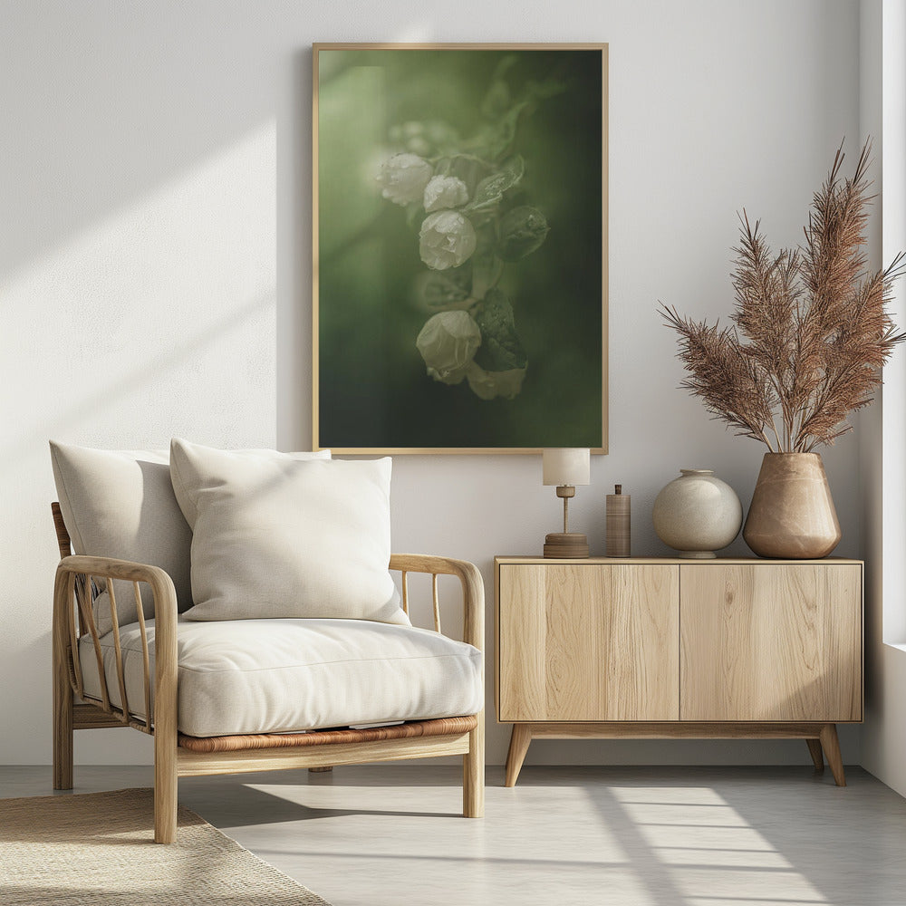 Jasmijn | Poster
