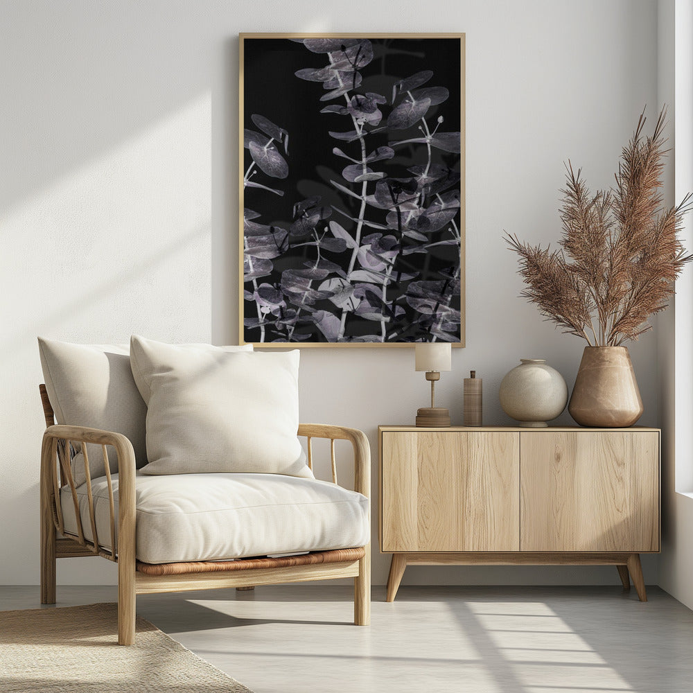Eucalyptus_Negatief_002 | Poster
