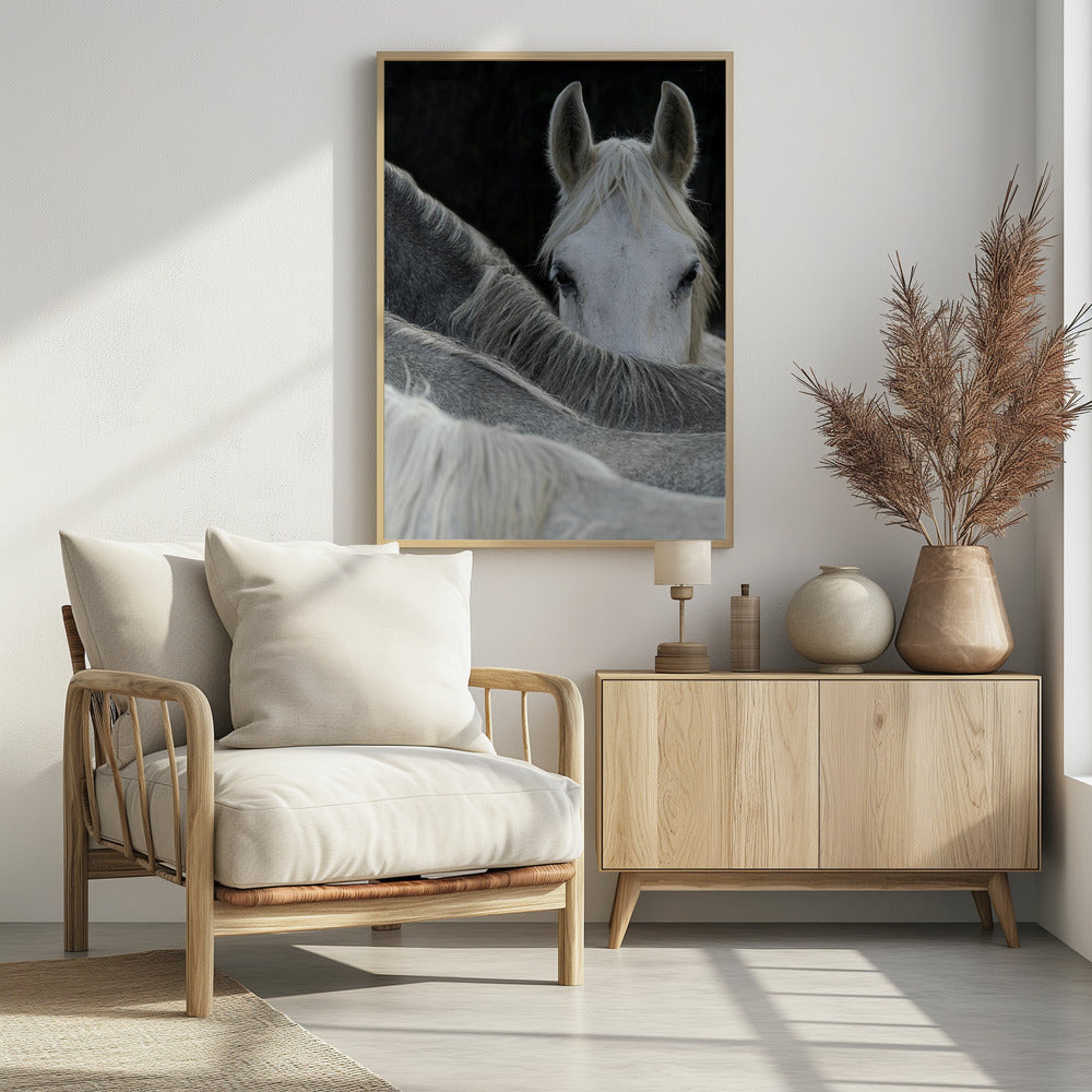 Kijk | Poster