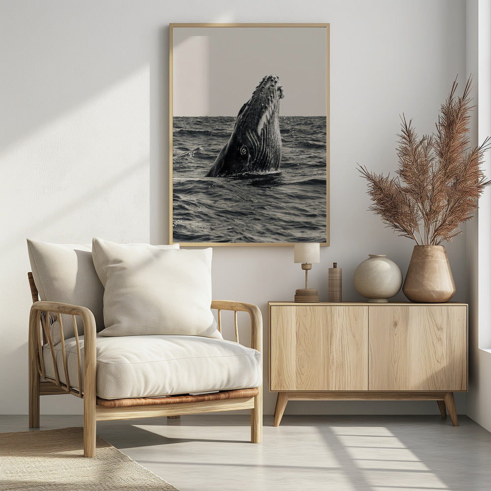 Geheim van de Walvis | Poster