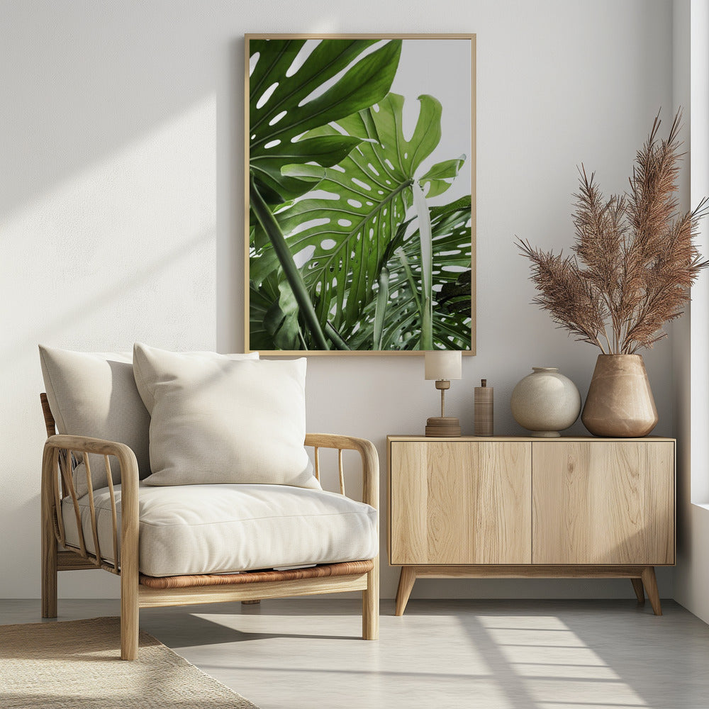 Jungle | Poster