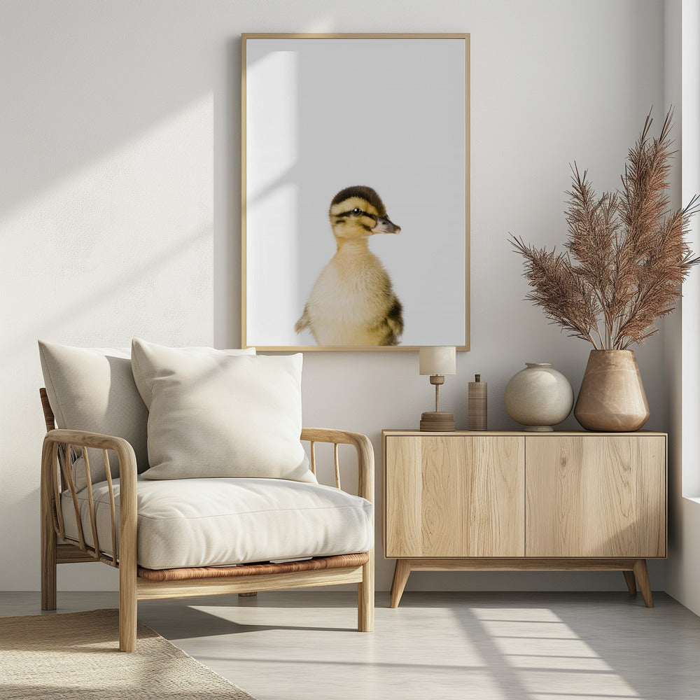 Baby Eend | Poster